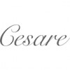 Cesare Hair Salon